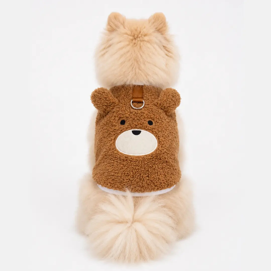 BEAR OUTFIT