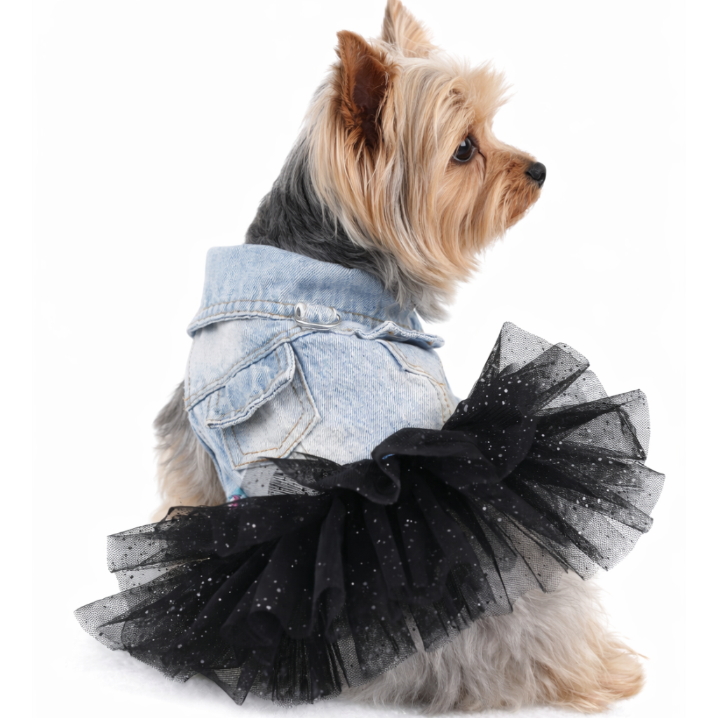 Comfortable Autumn Dress