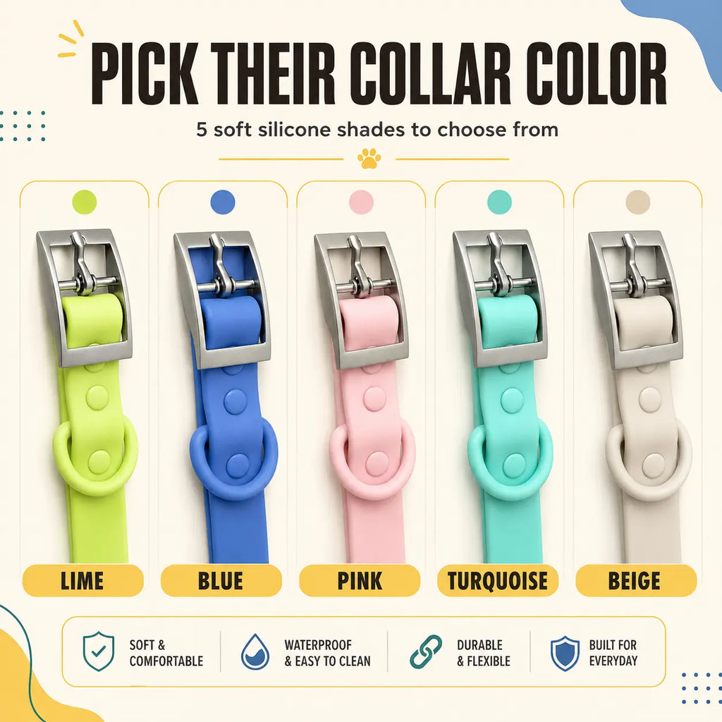 Personalized Silicone Dog Collar with Custom Name Letters