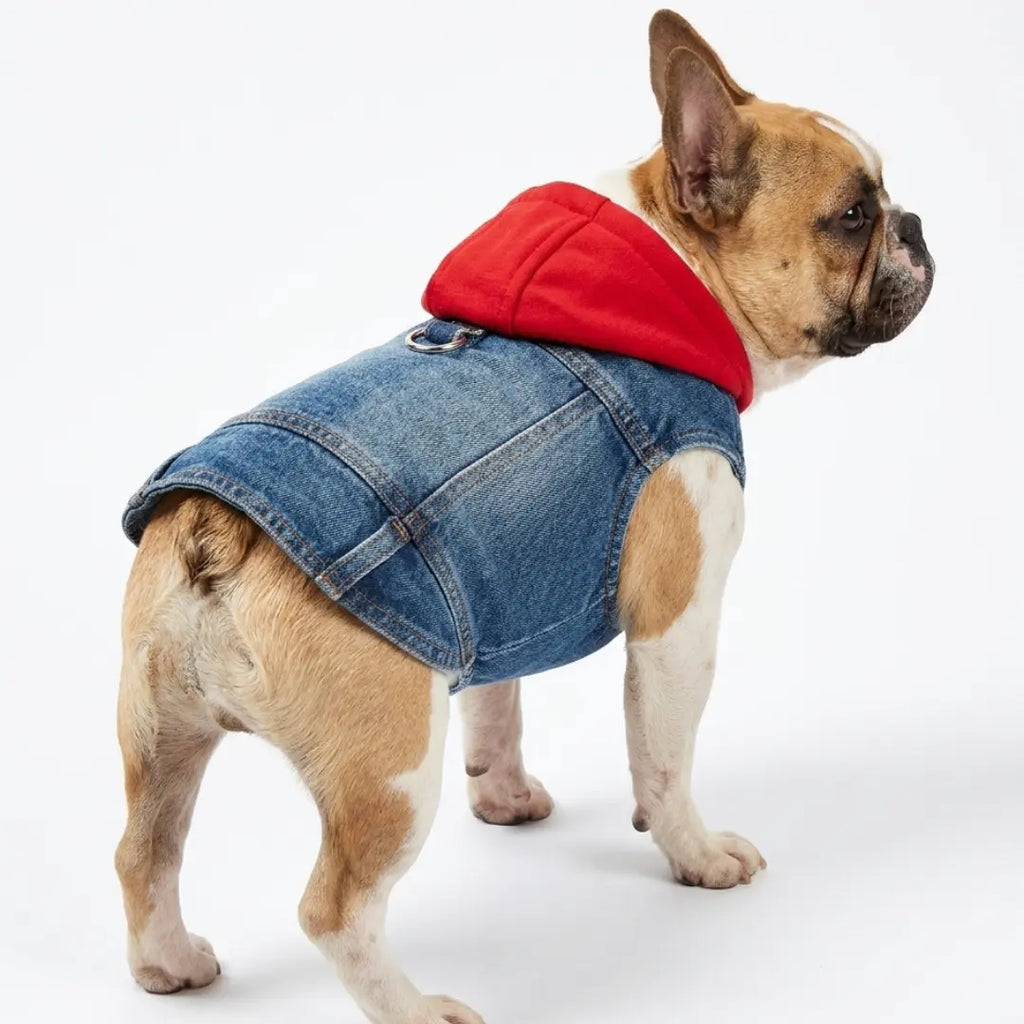 Pet Denim Jacket with Hoodie