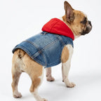 Pet Denim Jacket with Hoodie
