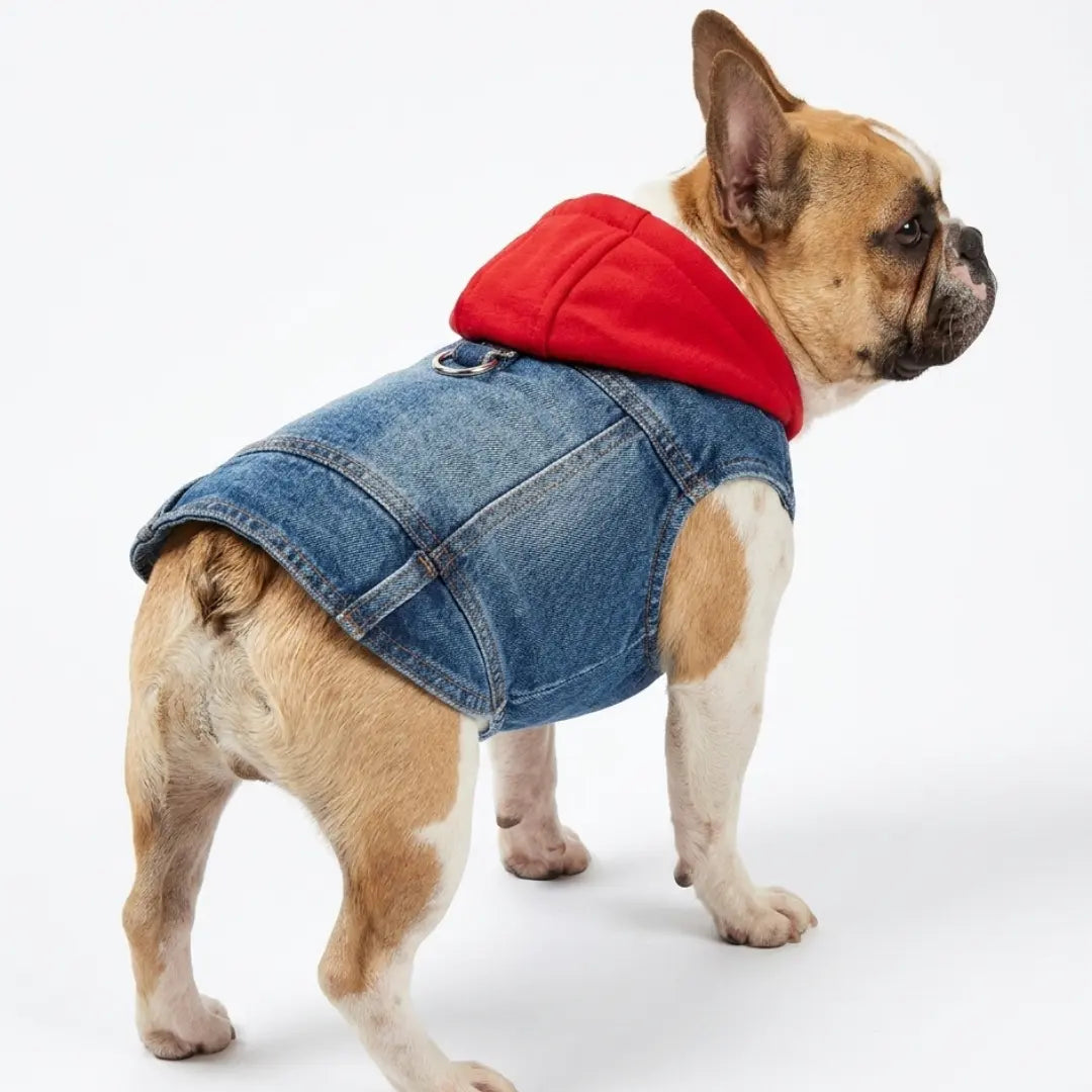 Pet Denim Jacket with Hoodie