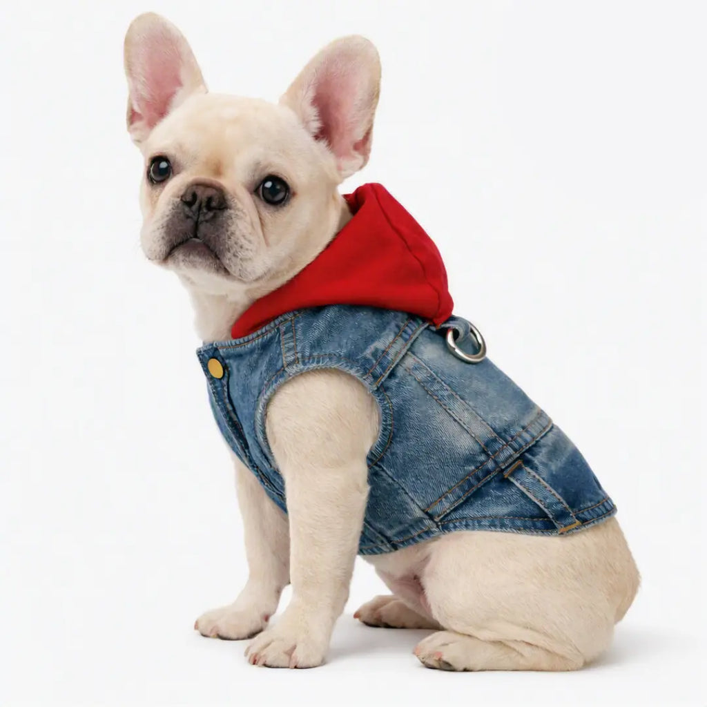 Pet Denim Jacket with Hoodie