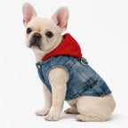 Pet Denim Jacket with Hoodie