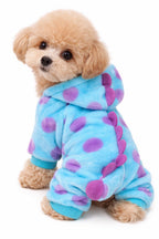 4-Leg Dinosaur Hoodie