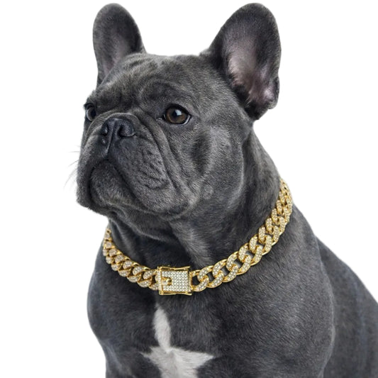 Chain Neckless For Dogs & Cats