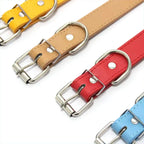 Custom Leather Dog Collar – Personalized Rhinestone Name Collar