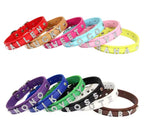 Custom Leather Dog Collar – Personalized Rhinestone Name Collar